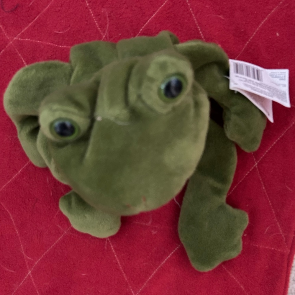 Bullie frog bean bag stuffed animal